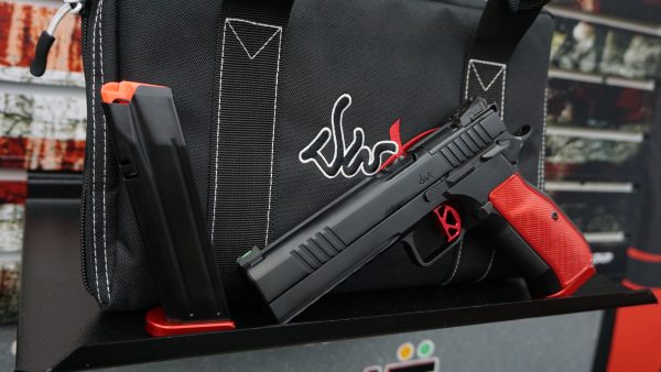 Dan Wesson DWX - Image 3
