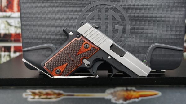 Sig Sauer P238 (VALUE) - Image 5