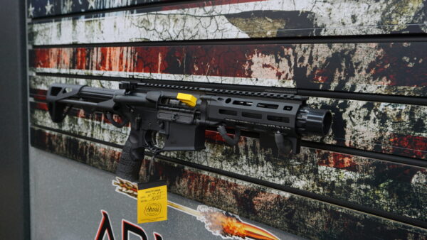Daniel Defense PDW SRB 300blk - Image 2