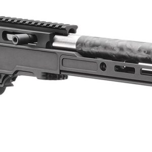 Ruger 10/22 Competition Custom Carbon