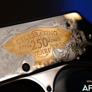 Henry Spirit of The Corps 250th